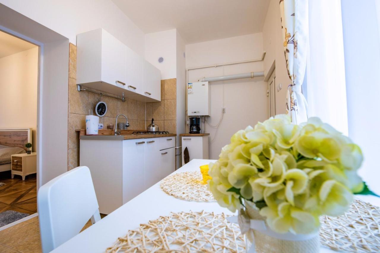 Apartment Amalia Sibiu Esterno foto